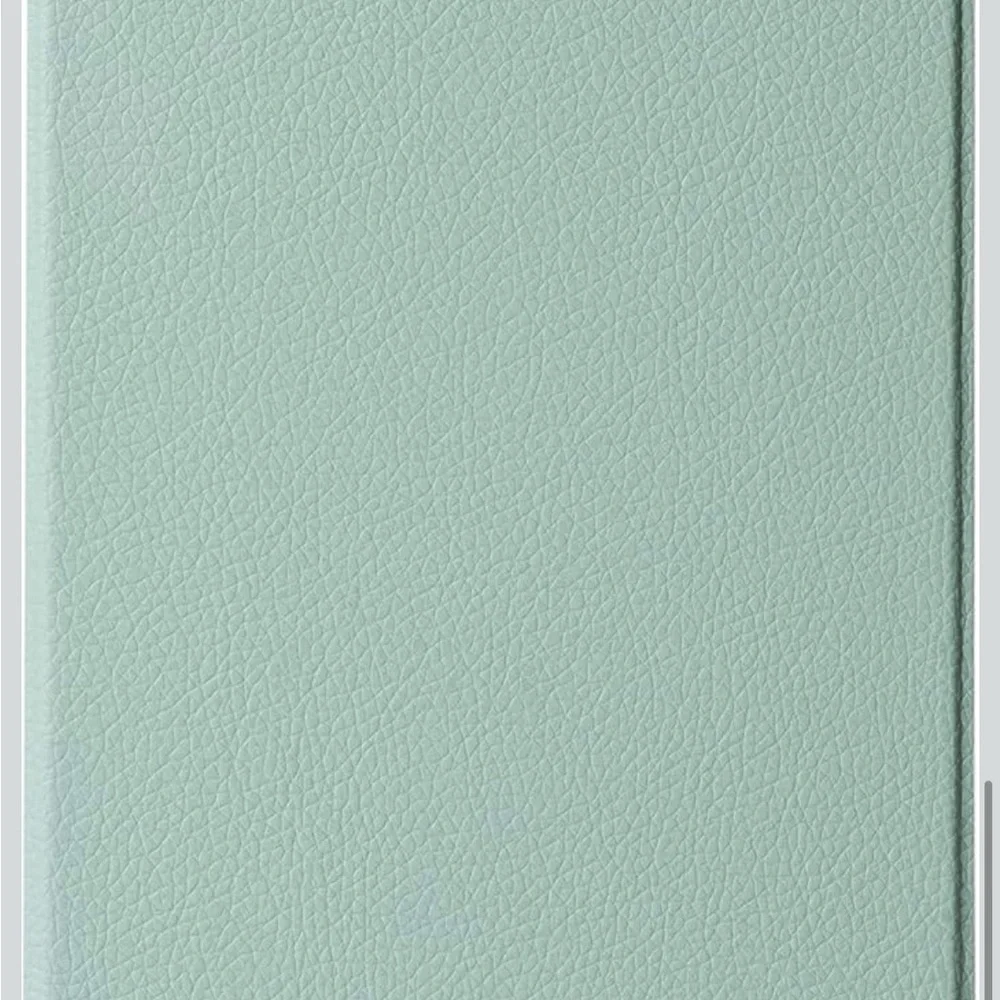 Kindle case, new